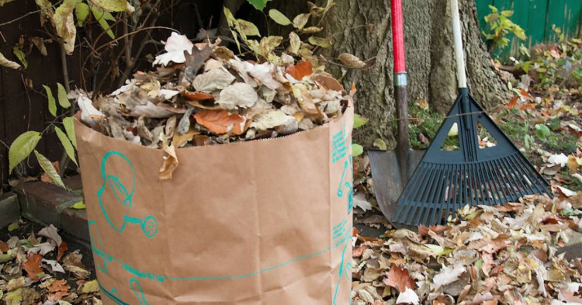 Free Residential Yard Waste Pickup Offered in Clifton Park, NY